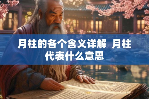 月柱的各个含义详解  月柱代表什么意思