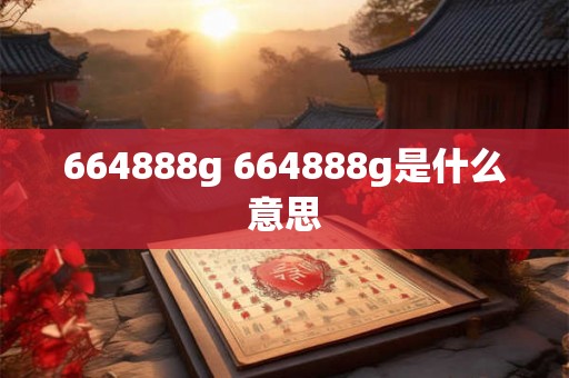 664888g 664888g是什么意思