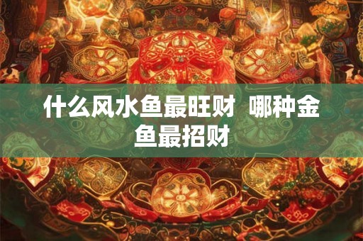 什么风水鱼最旺财 哪种金鱼最招财 什么风水鱼最旺财 哪种金鱼最招财