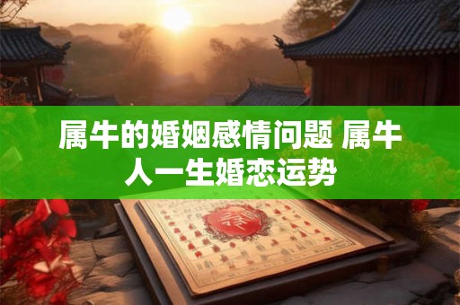 属牛的婚姻感情问题 属牛人一生婚恋运势