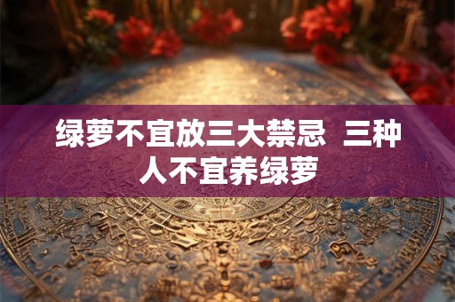 绿萝不宜放三大禁忌  三种人不宜养绿萝