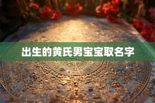 出生的黄氏男宝宝取名字