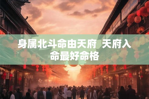 身属北斗命由天府  天府入命最好命格
