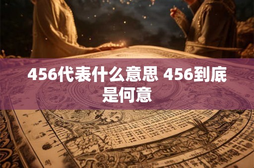 456代表什么意思 456到底是何意