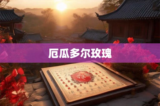 厄瓜多尔玫瑰 厄瓜多尔玫瑰