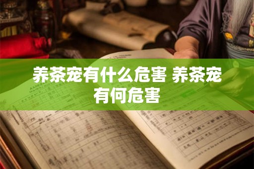 养茶宠有什么危害 养茶宠有何危害