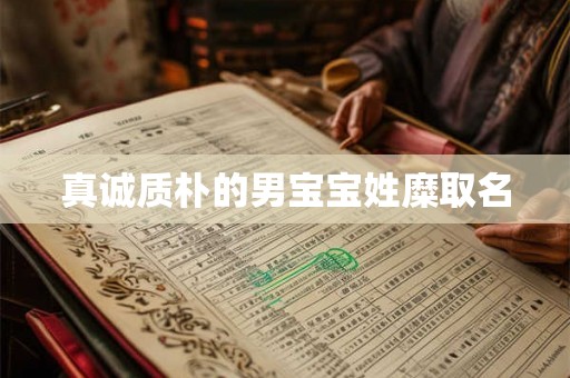 真诚质朴的男宝宝姓糜取名