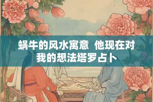蜗牛的风水寓意  他现在对我的想法塔罗占卜