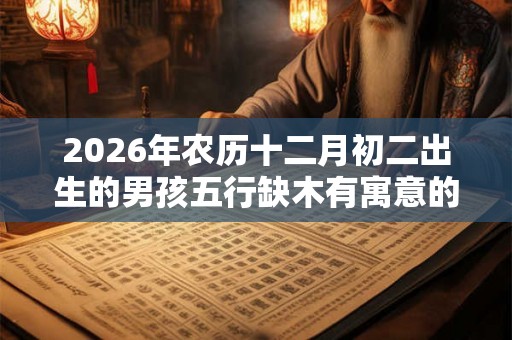 2026年农历十二月初二出生的男孩五行缺木有寓意的名字 2026年农历十二月初二出生的男孩五行缺木有寓意的名字