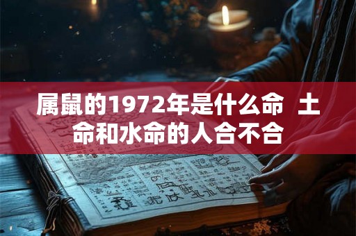属鼠的1972年是什么命  土命和水命的人合不合