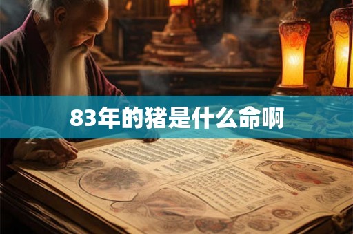 83年的猪是什么命啊