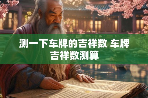 测一下车牌的吉祥数 车牌吉祥数测算 测一下车牌的吉祥数 车牌吉祥数测算