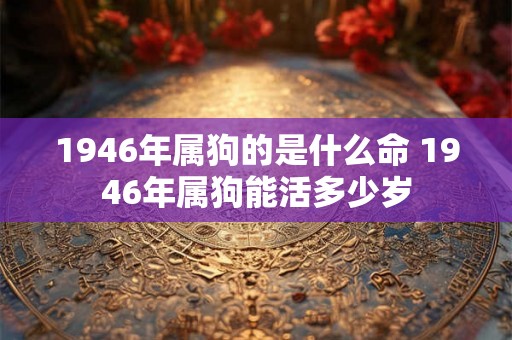 1946年属狗的是什么命 1946年属狗能活多少岁