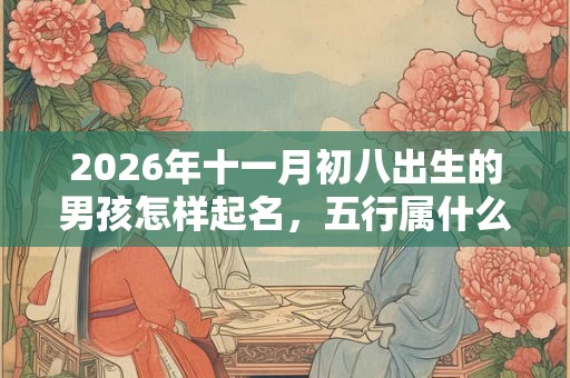 2026年十一月初八出生的男孩怎样起名，五行属什么