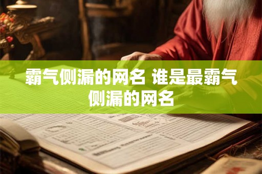 霸气侧漏的网名 谁是最霸气侧漏的网名