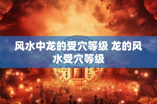 风水中龙的受穴等级 龙的风水受穴等级