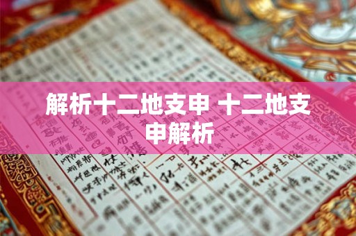 解析十二地支申 十二地支申解析