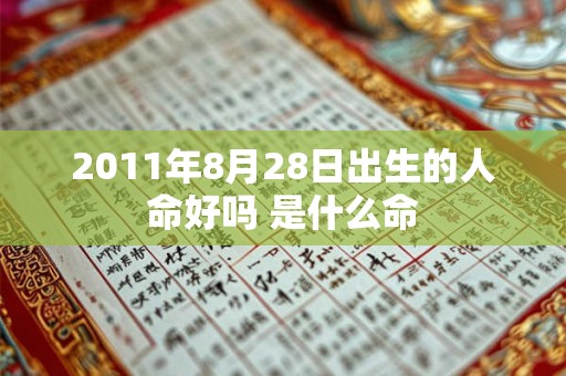 2011年8月28日出生的人命好吗 是什么命