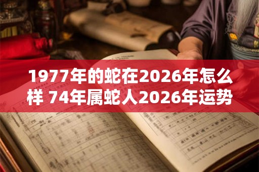 1977年的蛇在2026年怎么样 74年属蛇人2026年运势预测