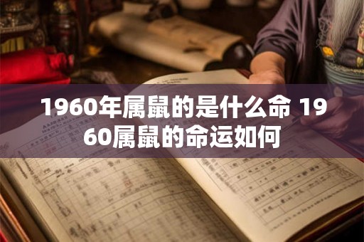 1960年属鼠的是什么命 1960属鼠的命运如何
