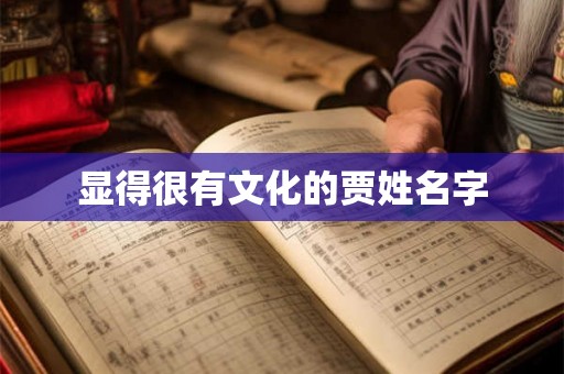 显得很有文化的贾姓名字
