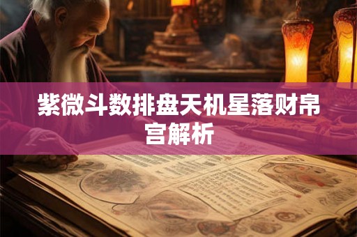 紫微斗数排盘天机星落财帛宫解析 紫微斗数排盘天机星落财帛宫解析