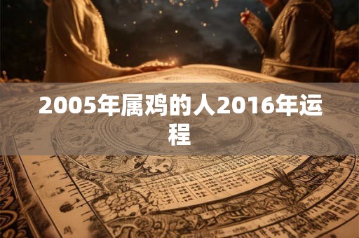 2005年属鸡的人2016年运程