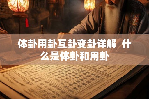 体卦用卦互卦变卦详解  什么是体卦和用卦