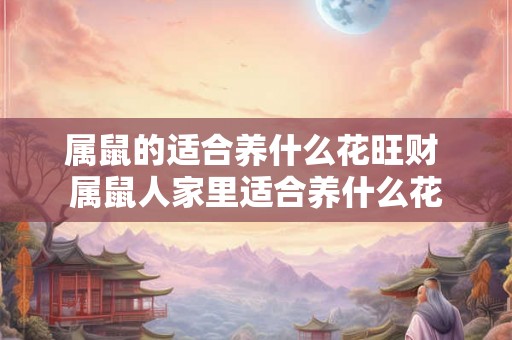 属鼠的适合养什么花旺财 属鼠人家里适合养什么花