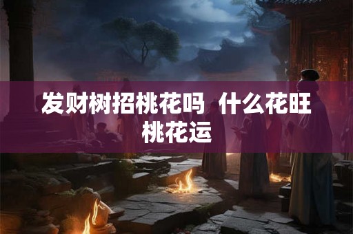 发财树招桃花吗 什么花旺桃花运 发财树招桃花吗 什么花旺桃花运