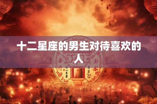 十二星座的男生对待喜欢的人