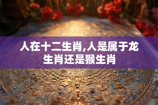 人在十二生肖,人是属于龙生肖还是猴生肖