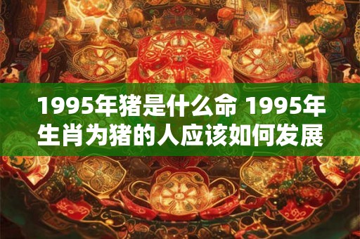 1995年猪是什么命 1995年生肖为猪的人应该如何发展事业