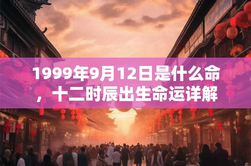1999年9月12日是什么命，十二时辰出生命运详解