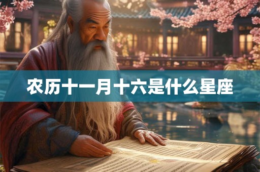 农历十一月十六是什么星座 农历十一月十六是什么星座