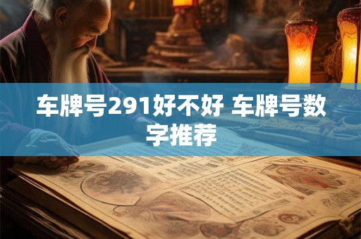 车牌号291好不好 车牌号数字推荐