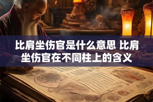比肩坐伤官是什么意思 比肩坐伤官在不同柱上的含义 比肩坐伤官是什么意思 比肩坐伤官在不同柱上的含义