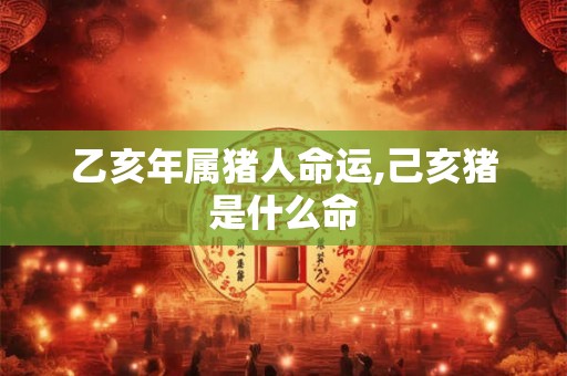乙亥年属猪人命运,己亥猪是什么命