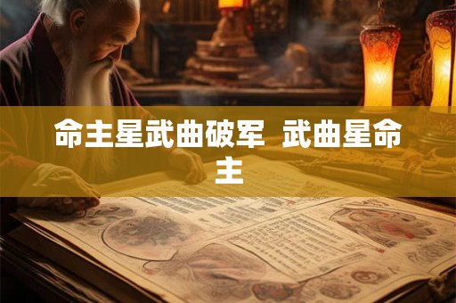 命主星武曲破军  武曲星命主