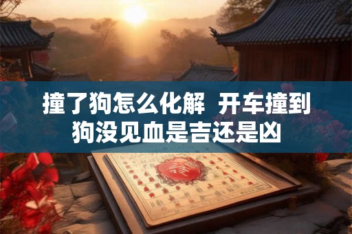 撞了狗怎么化解  开车撞到狗没见血是吉还是凶