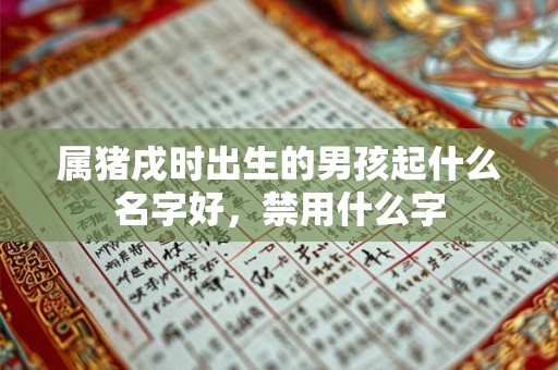 属猪戌时出生的男孩起什么名字好，禁用什么字