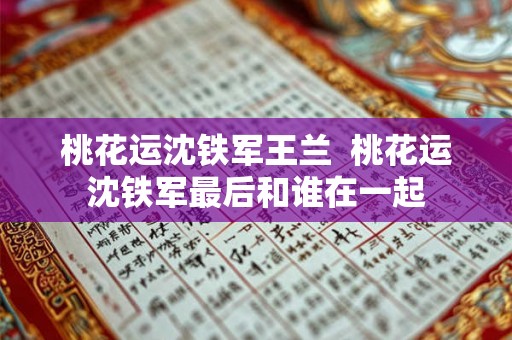 桃花运沈铁军王兰  桃花运沈铁军最后和谁在一起