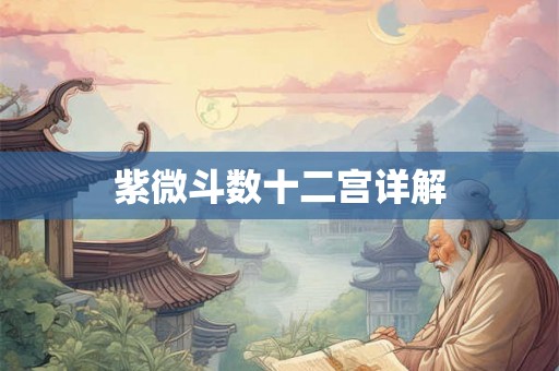 紫微斗数十二宫详解