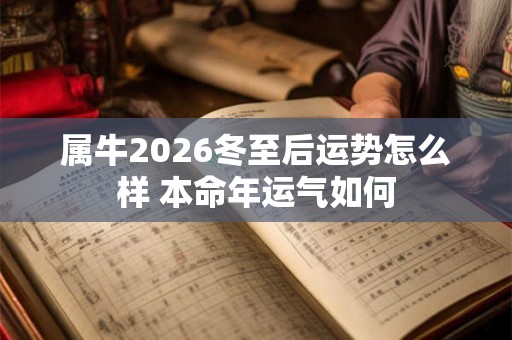 属牛2026冬至后运势怎么样 本命年运气如何 属牛2026冬至后运势怎么样 本命年运气如何