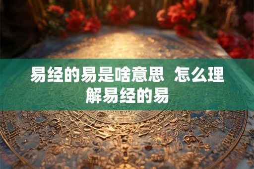 易经的易是啥意思  怎么理解易经的易