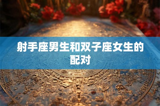 射手座男生和双子座女生的配对