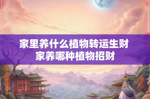 家里养什么植物转运生财 家养哪种植物招财