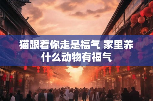 猫跟着你走是福气 家里养什么动物有福气