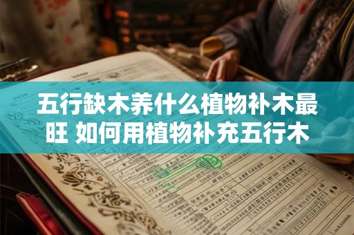 五行缺木养什么植物补木最旺 如何用植物补充五行木