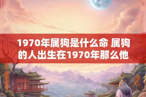 1970年属狗是什么命 属狗的人出生在1970年那么他们的命运会是如何的呢